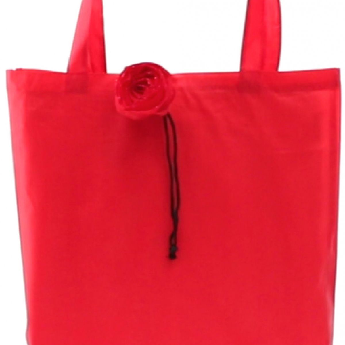 Τσάντα Μεταφοράς